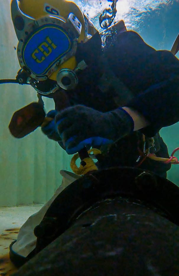 A Person in a Scuba Gear in a Container Tank