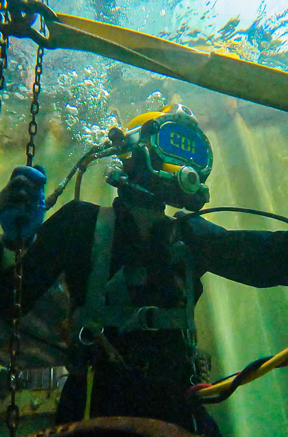 A Person Wearing a Scuba Gear